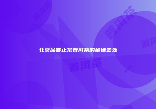 北京品尝正宗普洱茶的绝佳去处