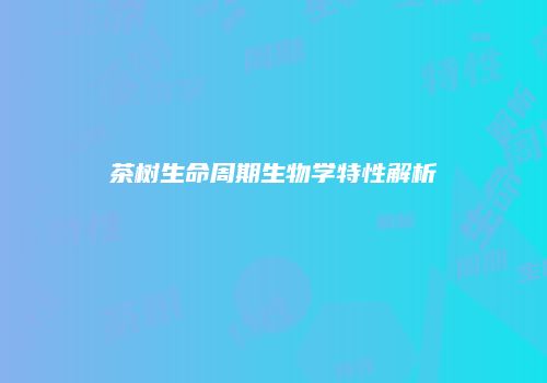 茶树生命周期生物学特性解析