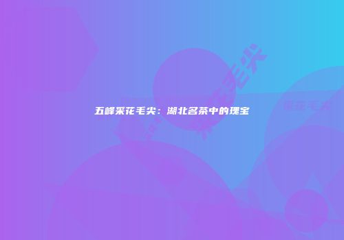五峰采花毛尖：湖北名茶中的瑰宝