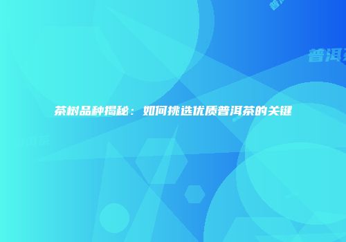 茶树品种揭秘：如何挑选优质普洱茶的关键