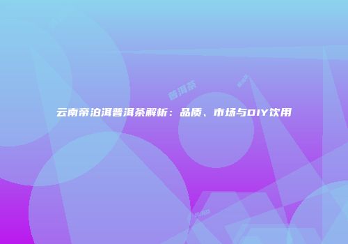 云南帝泊洱普洱茶解析：品质、市场与DIY饮用