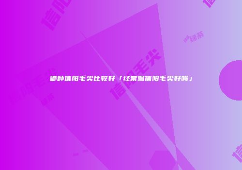 哪种信阳毛尖比较好「经常喝信阳毛尖好吗」