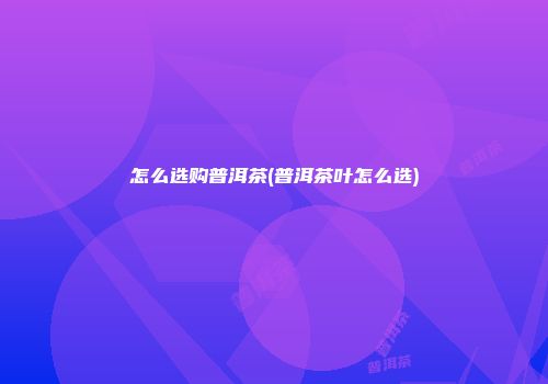 怎么选购普洱茶(普洱茶叶怎么选)