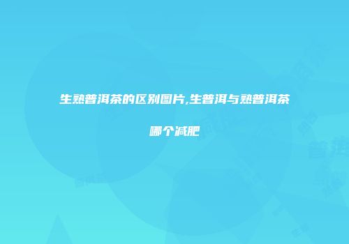 生熟普洱茶的区别图片,生普洱与熟普洱茶哪个减肥
