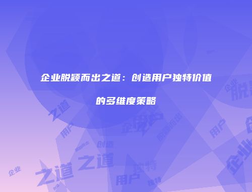 企业脱颖而出之道：创造用户独特价值的多维度策略