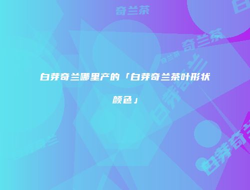 白芽奇兰哪里产的「白芽奇兰茶叶形状颜色」