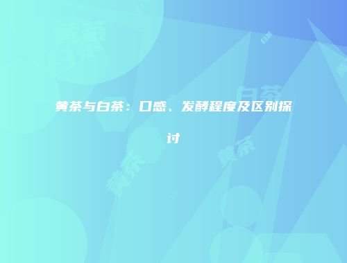黄茶与白茶：口感、发酵程度及区别探讨