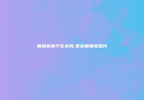 碧螺春属于花茶吗,茉莉碧螺春图片