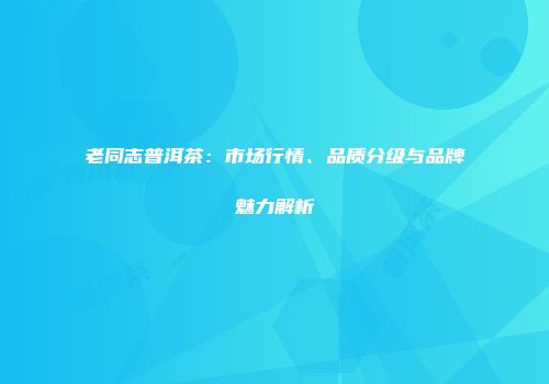 老同志普洱茶：市场行情、品质分级与品牌魅力解析