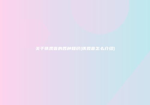 关于铁观音的各种知识(铁观音怎么介绍)