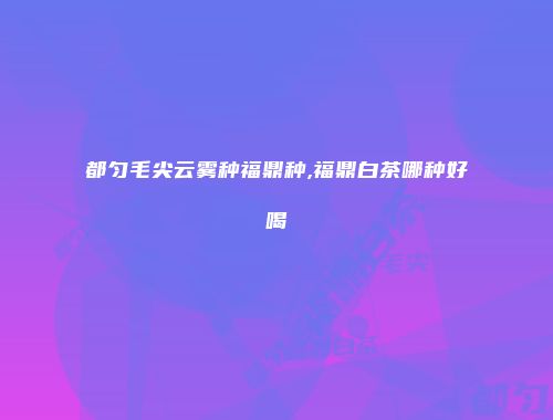 都匀毛尖云雾种福鼎种,福鼎白茶哪种好喝