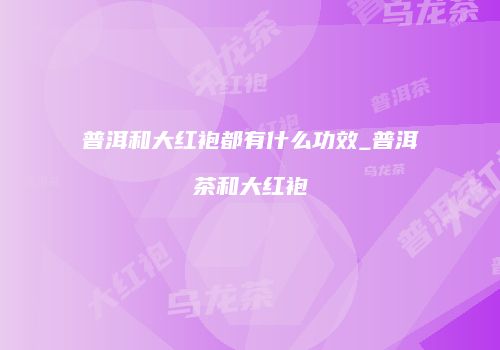 普洱和大红袍都有什么功效_普洱茶和大红袍