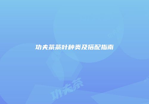 功夫茶茶叶种类及搭配指南