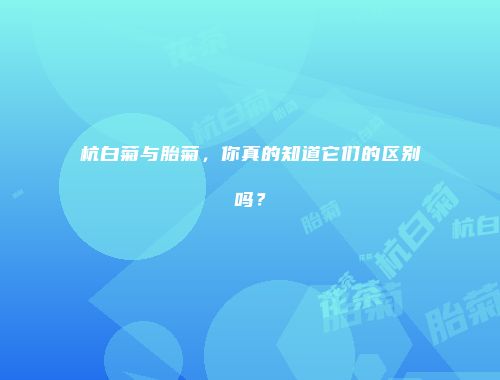 杭白菊与胎菊，你真的知道它们的区别吗？