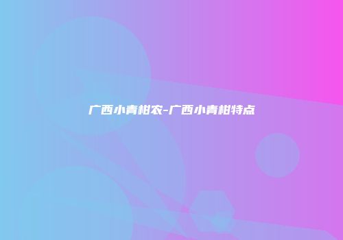 广西小青柑农-广西小青柑特点