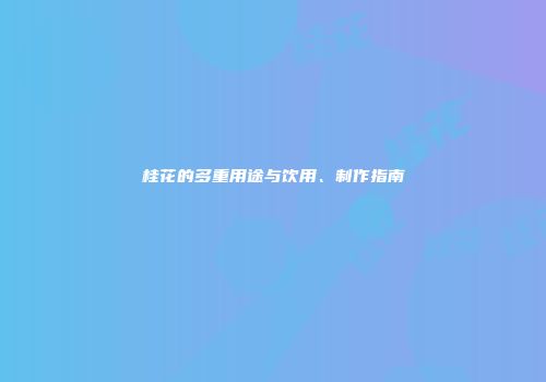 桂花的多重用途与饮用、制作指南