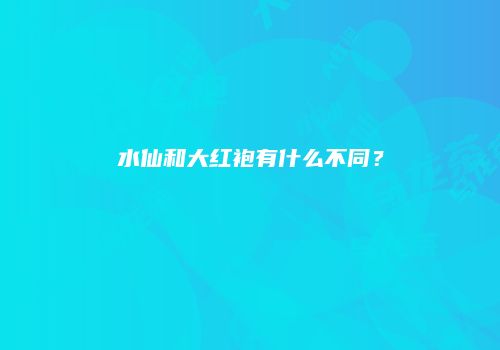 水仙和大红袍有什么不同？