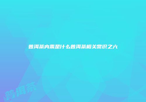 普洱茶内票是什么普洱茶相关常识之六