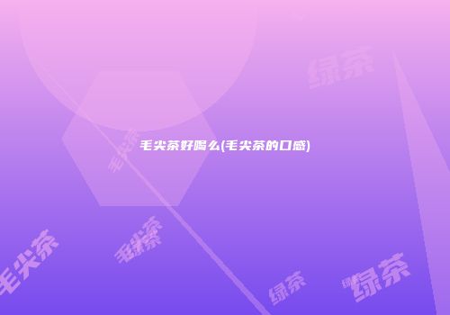 毛尖茶好喝么(毛尖茶的口感)