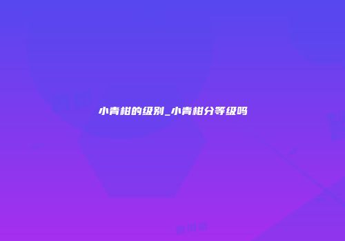 小青柑的级别_小青柑分等级吗