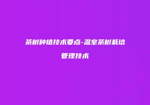 茶树种植技术要点-温室茶树栽培管理技术