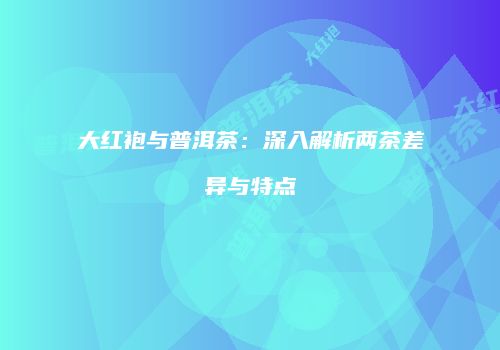 大红袍与普洱茶：深入解析两茶差异与特点