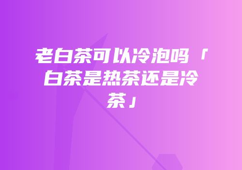 老白茶可以冷泡吗「白茶是热茶还是冷茶」