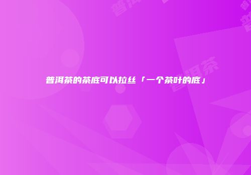 普洱茶的茶底可以拉丝「一个茶叶的底」