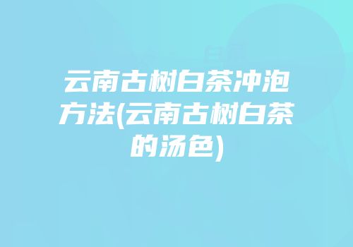 云南古树白茶冲泡方法(云南古树白茶的汤色)
