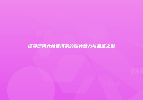 探寻郎河大桔普洱茶的独特魅力与品鉴之道