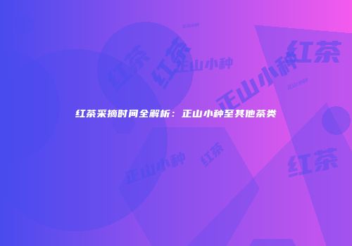 红茶采摘时间全解析：正山小种至其他茶类