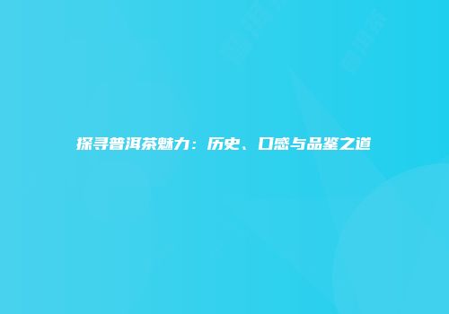 探寻普洱茶魅力：历史、口感与品鉴之道