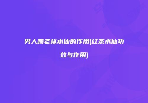 男人喝老枞水仙的作用(红茶水仙功效与作用)