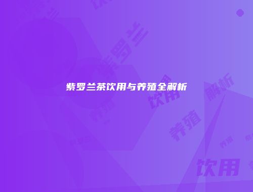 紫罗兰茶饮用与养殖全解析