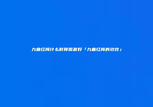 九曲红梅什么时候喝最好「九曲红梅的功效」