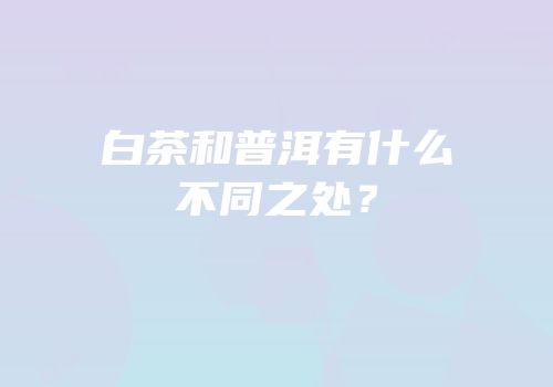 白茶和普洱有什么不同之处？