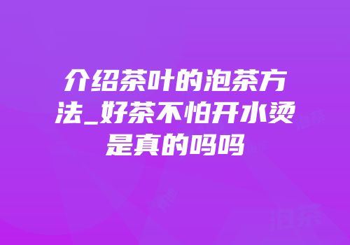 介绍茶叶的泡茶方法_好茶不怕开水烫是真的吗吗