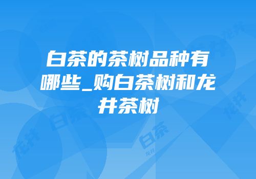 白茶的茶树品种有哪些_购白茶树和龙井茶树
