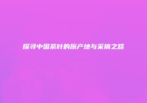 探寻中国茶叶的原产地与采摘之路