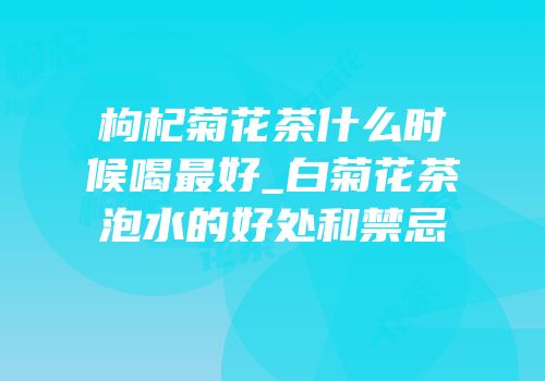 枸杞菊花茶什么时候喝最好_白菊花茶泡水的好处和禁忌