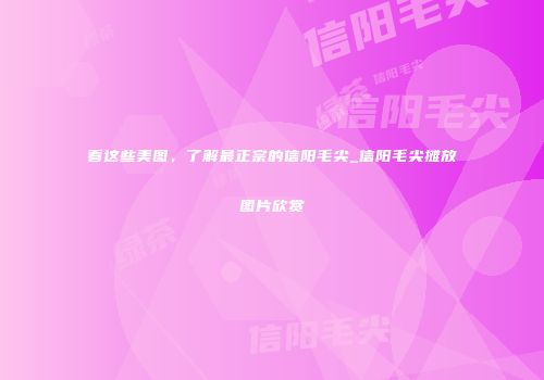 看这些美图，了解最正宗的信阳毛尖_信阳毛尖摊放图片欣赏