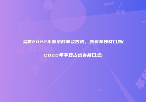 品尝2022年春茶的革登古树，感受其独特口感(2022年革登古树春茶口感)