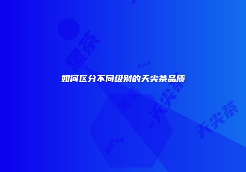 如何区分不同级别的天尖茶品质