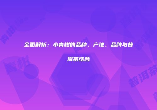 全面解析：小青柑的品种、产地、品牌与普洱茶结合