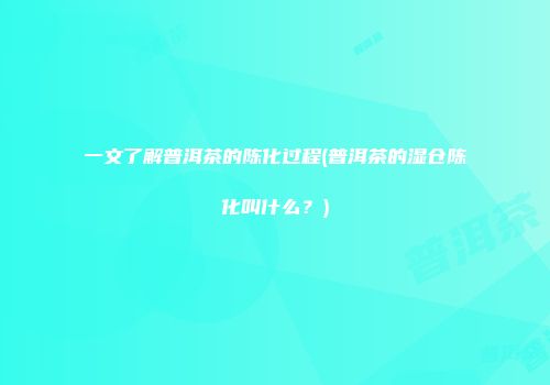 一文了解普洱茶的陈化过程(普洱茶的湿仓陈化叫什么？)