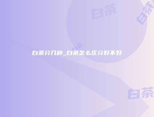 白茶分几种_白茶怎么区分好不好