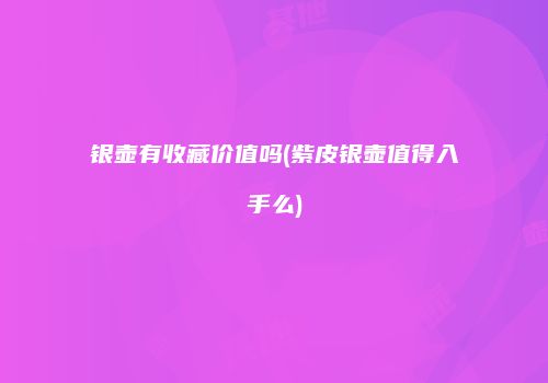 银壶有收藏价值吗(紫皮银壶值得入手么)