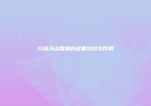 介绍天山雪蜜的多重功效与作用