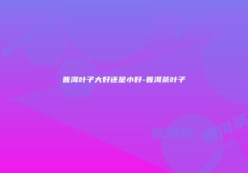 普洱叶子大好还是小好-普洱茶叶子