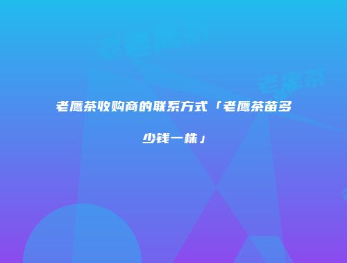 老鹰茶收购商的联系方式「老鹰茶苗多少钱一株」